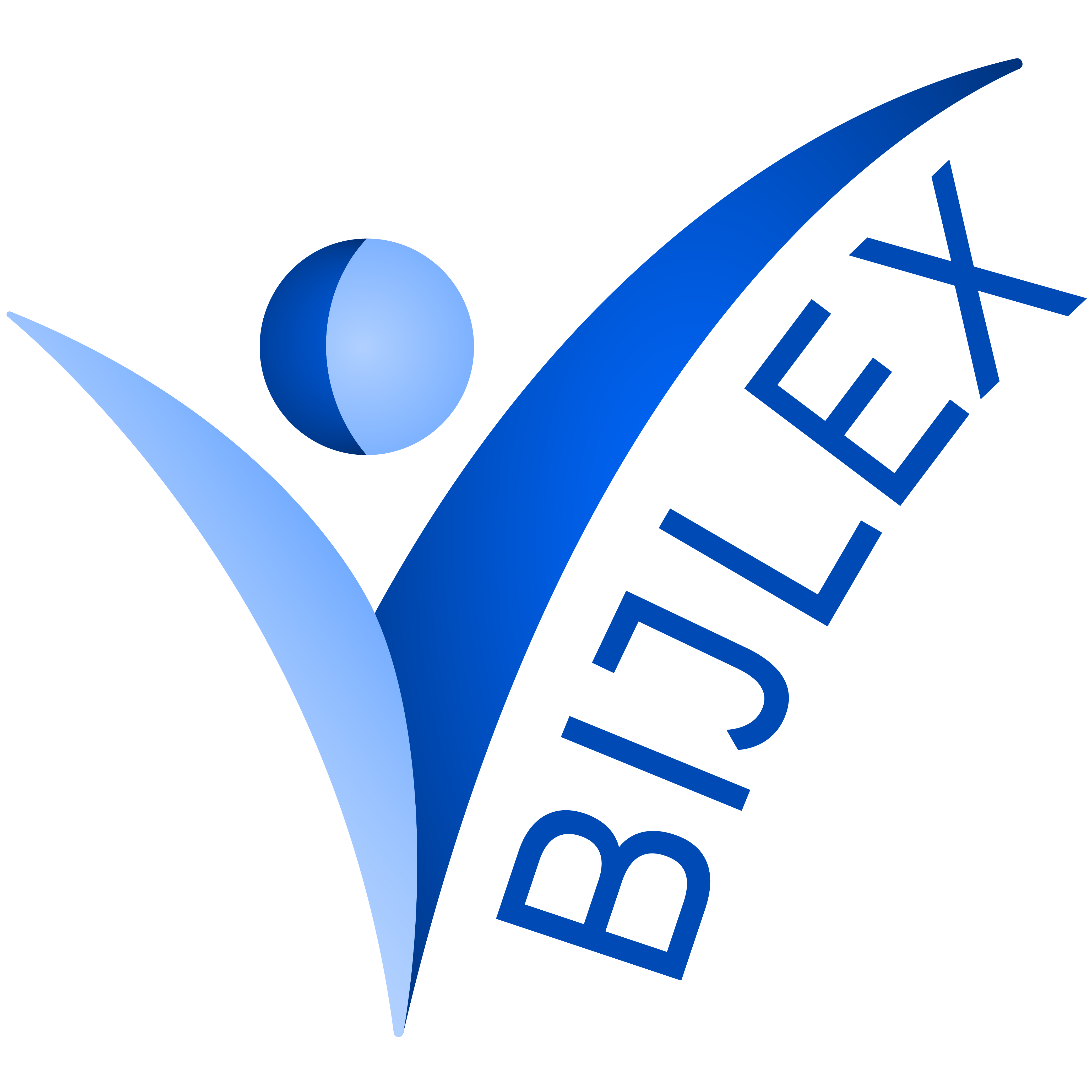 Bijlex logo